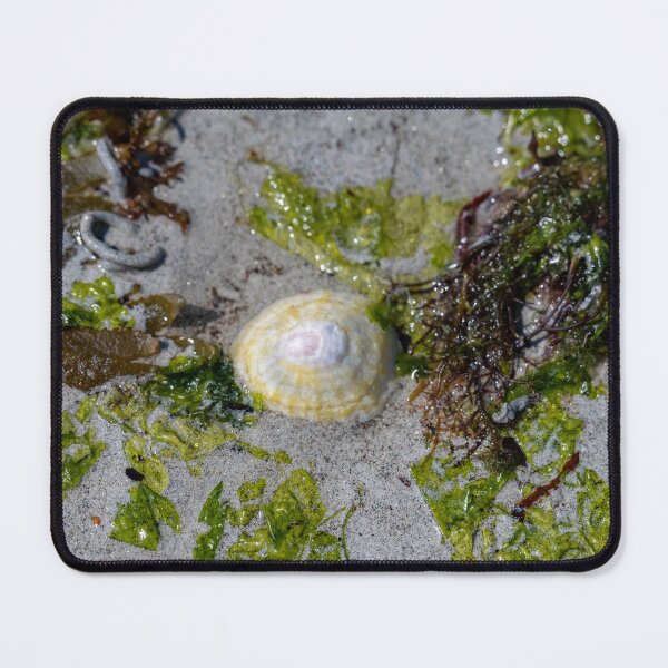 Item preview, It is served designed and sold by OskiOnTour.