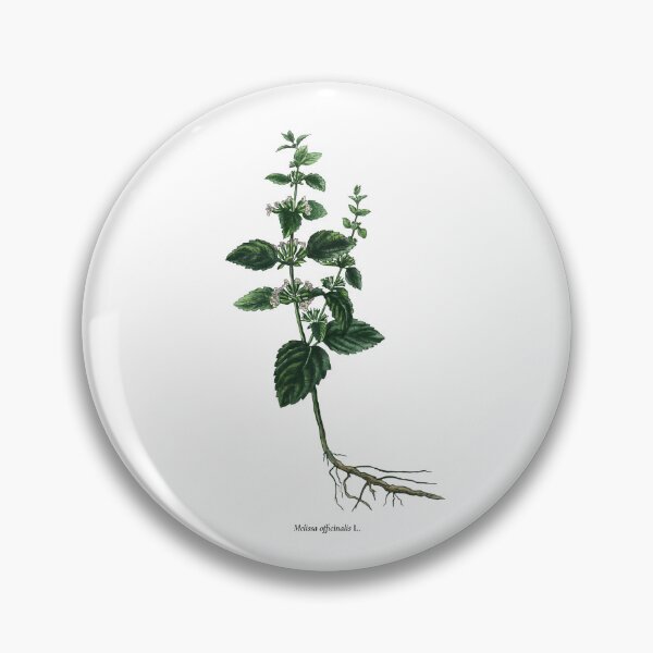 Item preview, Lemon balm designed and sold by Shirts4Locals.