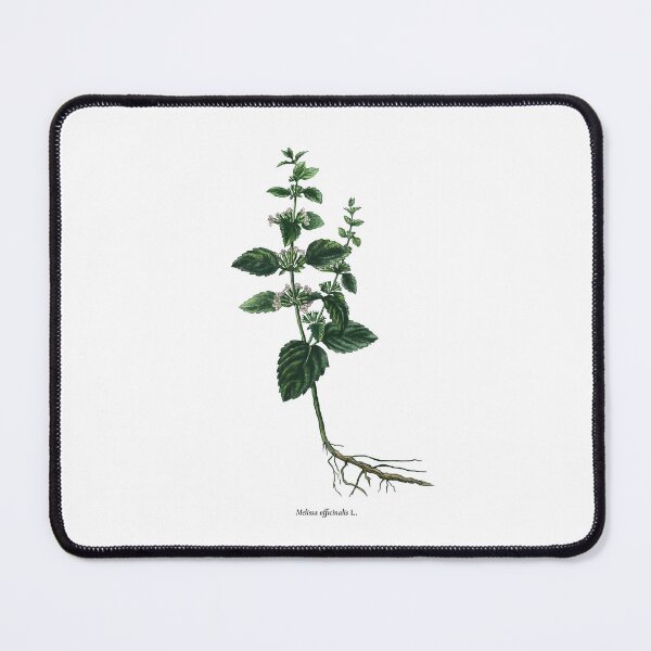Item preview, Lemon balm designed and sold by Shirts4Locals.