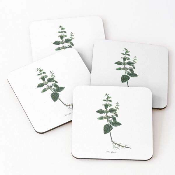 Item preview, Lemon balm designed and sold by Shirts4Locals.