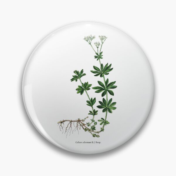 Item preview, Woodruff designed and sold by Shirts4Locals.