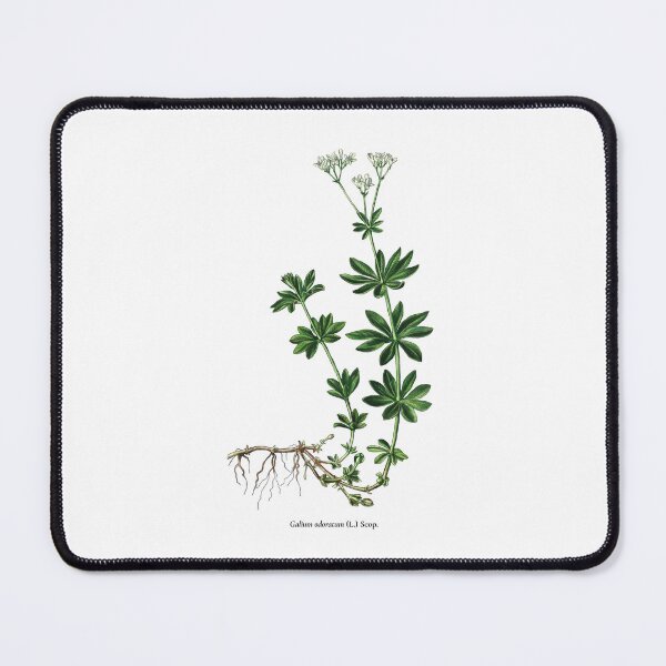Item preview, Woodruff designed and sold by Shirts4Locals.
