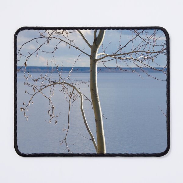 Item preview, Lonely Tree on Volga River Bank designed and sold by denis-romanov.