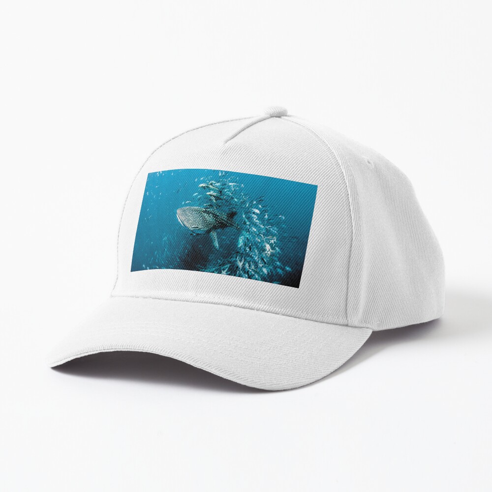 Vista previa del artículo con la obra «Gorra de béisbol», diseñado y vendido por Picturestation.