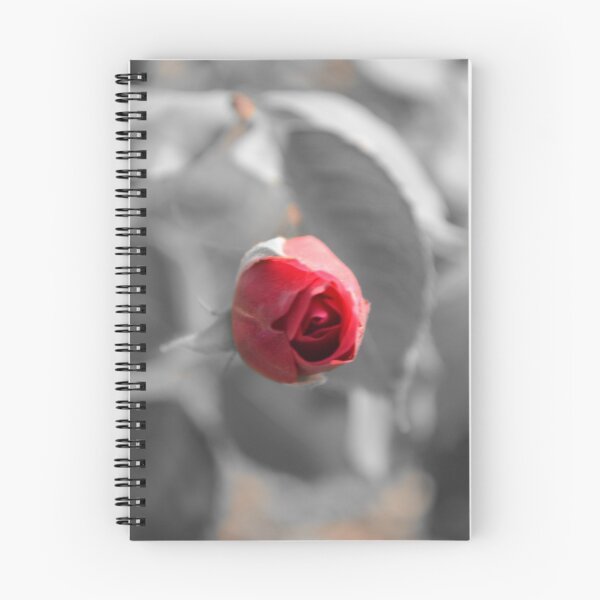 Item preview, Beautiful Focused Red Rose designed and sold by Azraqcrafts.