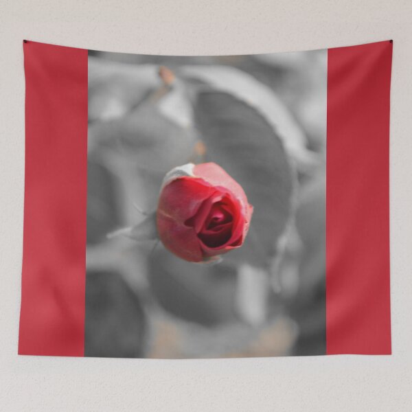 Item preview, Beautiful Focused Red Rose designed and sold by Azraqcrafts.