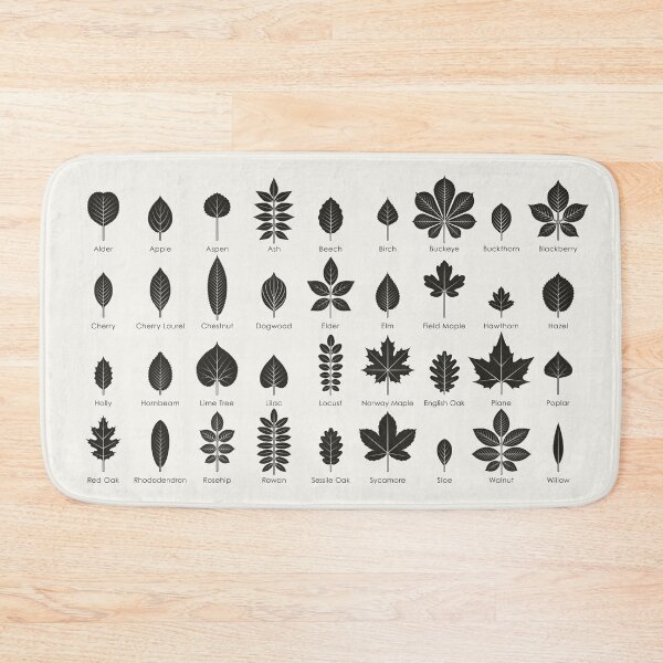 Item preview, Leaves of Trees and Shrubs Identification ID Chart designed and sold by Iris Luckhaus.