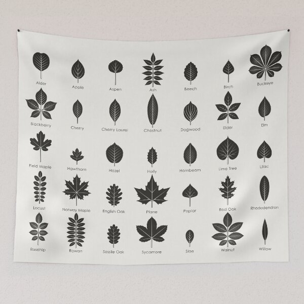 Item preview, Leaves of Trees and Shrubs Identification ID Chart designed and sold by Iris Luckhaus.