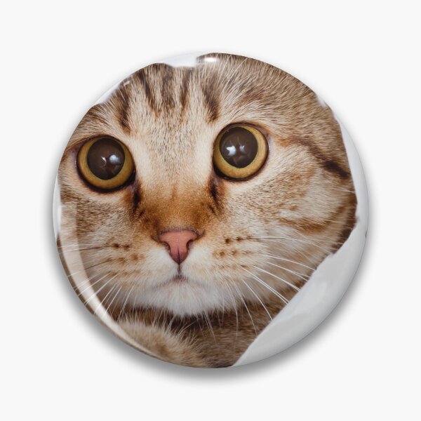 Item preview, cute cat who wants to play designed and sold by badrstore59.