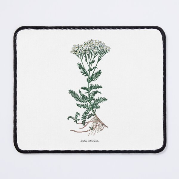 Item preview, Common yarrow designed and sold by Shirts4Locals.