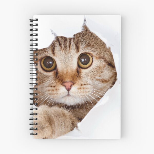 Item preview, cute cat who wants to play designed and sold by badrstore59.