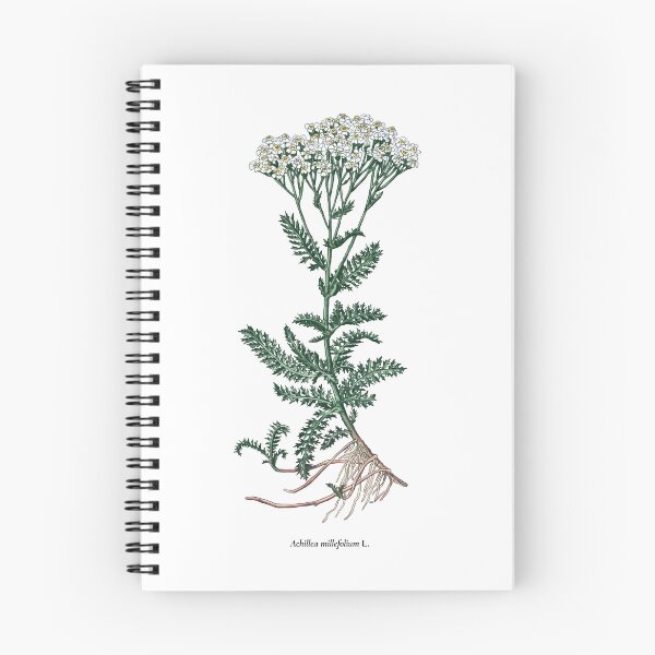 Item preview, Common yarrow designed and sold by Shirts4Locals.