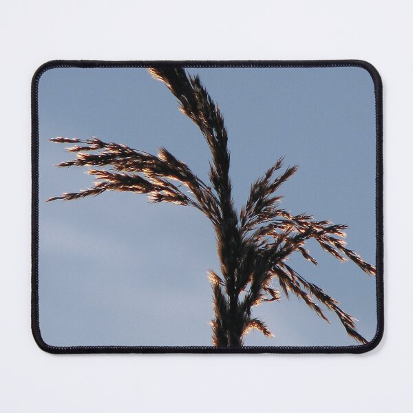 Item preview, Sunkissed designed and sold by Sharon Perrett.