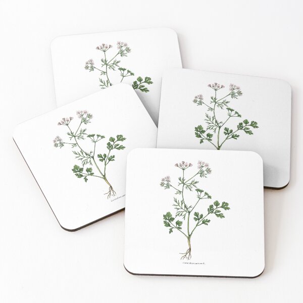 Item preview, Coriander designed and sold by Shirts4Locals.