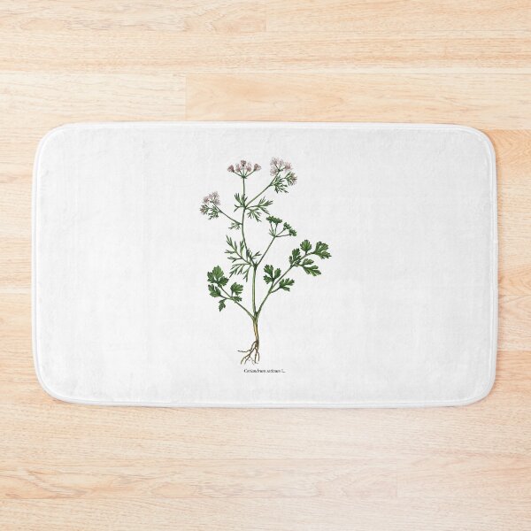 Item preview, Coriander designed and sold by Shirts4Locals.