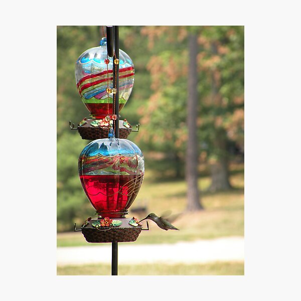 Item preview, ecologically responsible hummer designed and sold by WonderlandGlass.