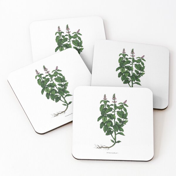 Item preview, Basil designed and sold by Shirts4Locals.