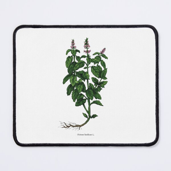 Item preview, Basil designed and sold by Shirts4Locals.