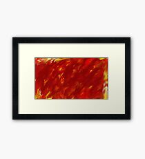 Furry Firey Fury Framed Print
