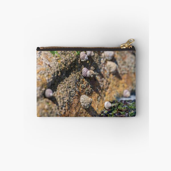 Artikelvorschau, Fels mit Muscheln entworfen und verkauft von OskiOnTour.