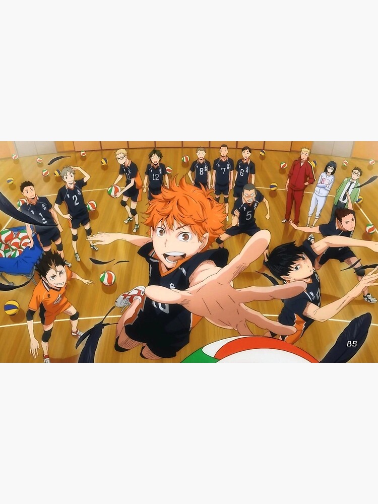  Haikyuu Merch Poster Karasuno High School Flag Anime