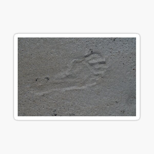 Item preview, Traces in the Sand designed and sold by OskiOnTour.
