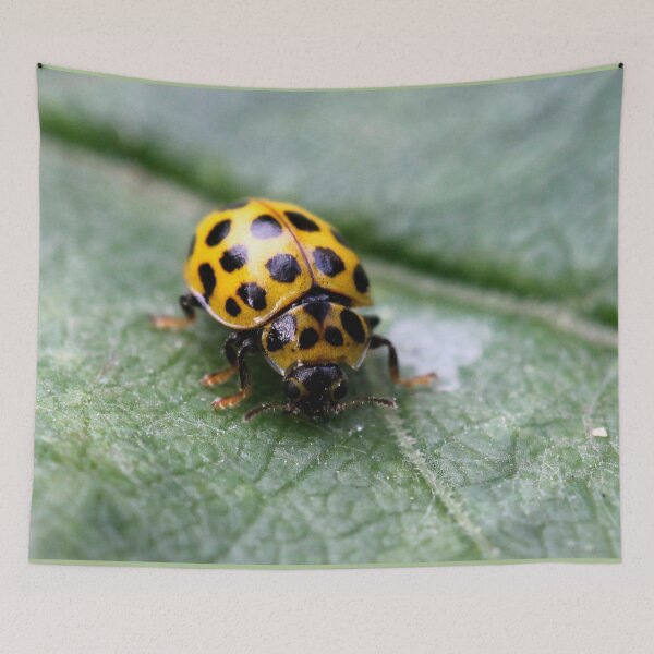 Item preview, Yellow Polkadot designed and sold by cuprum.