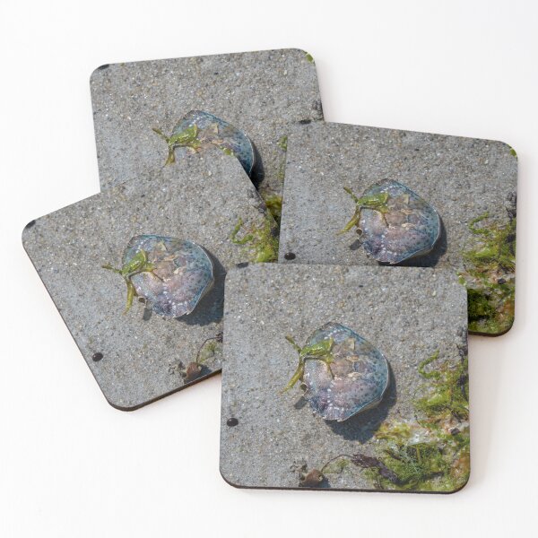Item preview, washed-up beauty designed and sold by OskiOnTour.