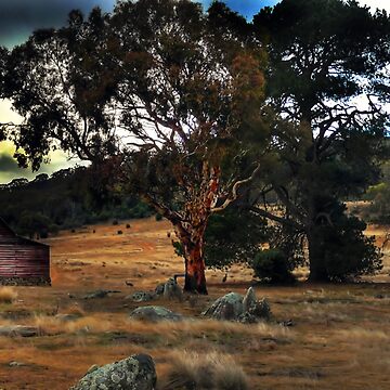 Artwork thumbnail, Westermans Homestead by Raquel O'Neill