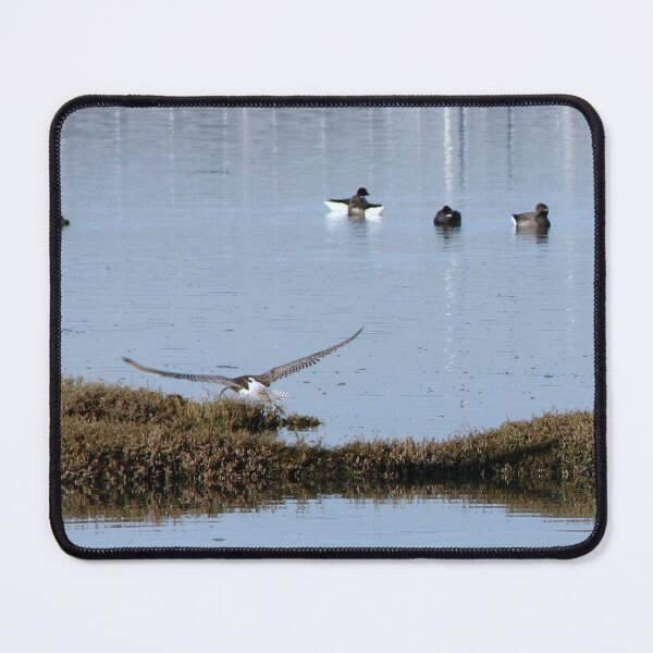 Item preview, For Jesika - A Curlew in flight designed and sold by Sharon Perrett.