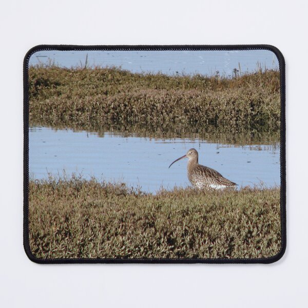 Item preview, For Jesika - A Curlew designed and sold by Sharon Perrett.