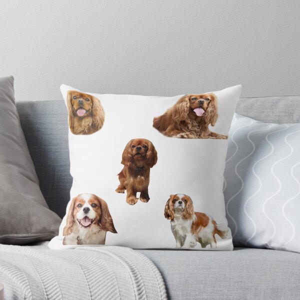 Item preview, Cavalier King Charles Spaniel King Charles Crown Coronation Long Live The King Charles Spaniel  designed and sold by leegends44.