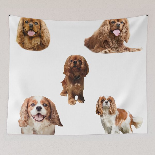 Item preview, Cavalier King Charles Spaniel King Charles Crown Coronation Long Live The King Charles Spaniel  designed and sold by leegends44.