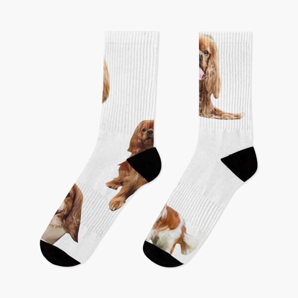 Item preview, Cavalier King Charles Spaniel King Charles Crown Coronation Long Live The King Charles Spaniel  designed and sold by leegends44.