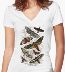 Victorian Moth Insects illustration Women's Fitted V-Neck T-Shirt