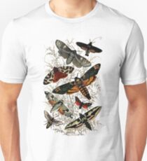 Camiseta ajustada Ilustración de insectos polilla victoriana