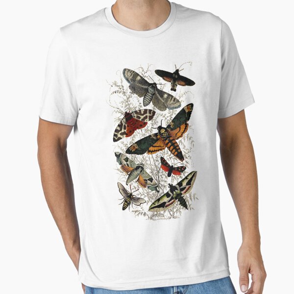 Aperçu de l'œuvre Illustration d'insectes de Moth victorienne créée et vendue par oliverkite.