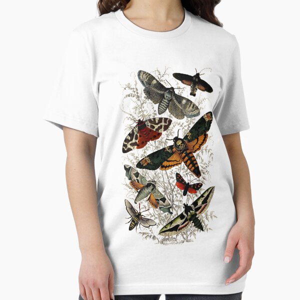 Item preview, Victorian Moth Insects illustration designed and sold by oliverkite.