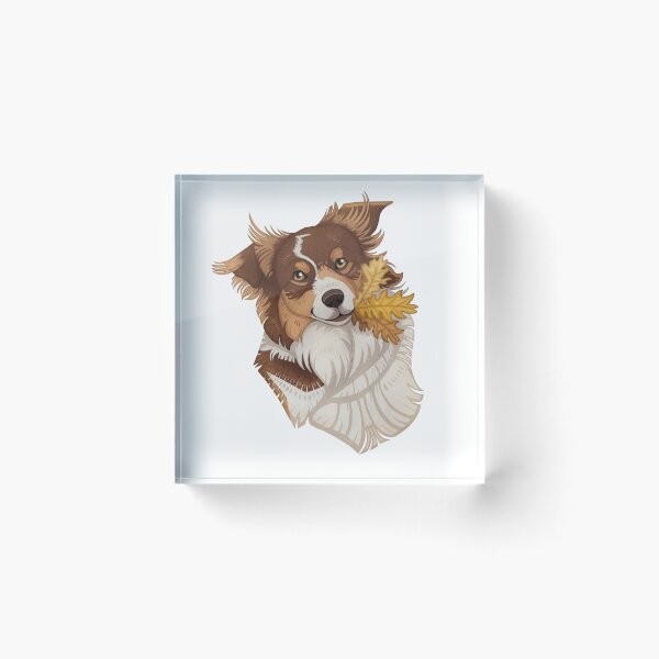 Item preview, Border Collie  designed and sold by Terrafoxe.