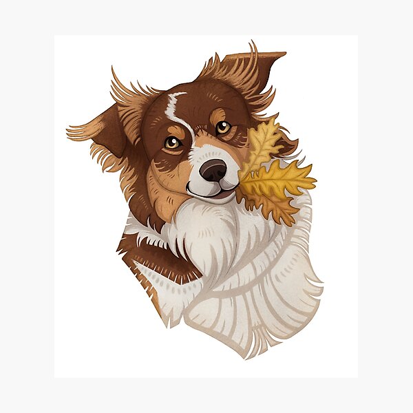 Item preview, Border Collie  designed and sold by Terrafoxe.