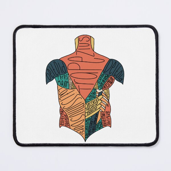 Item preview, Labeled Back Muscle Anatomy  designed and sold by Katherine Winner.