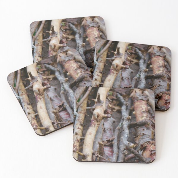 Item preview, Bundle of Sticks Photography Print - Art designed and sold by jolabrese.