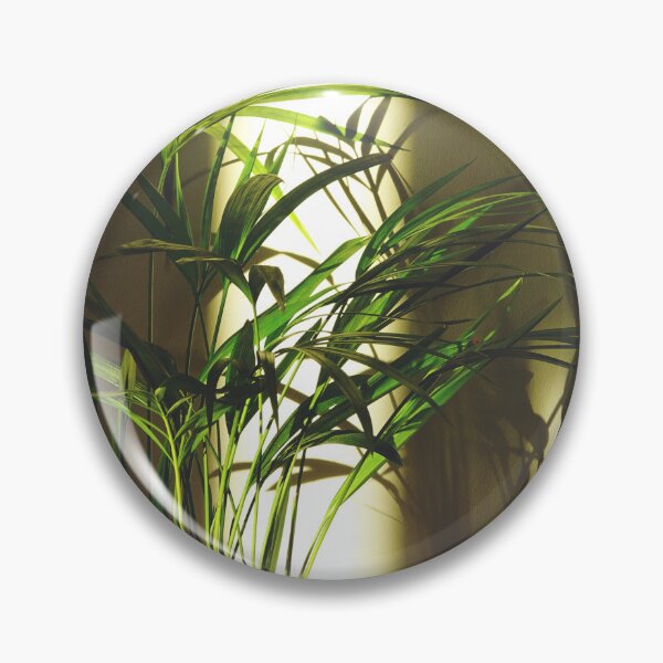 Item preview, Natural Light Bathing Indoor Houseplant Areca Palm designed and sold by CarolinaReina.