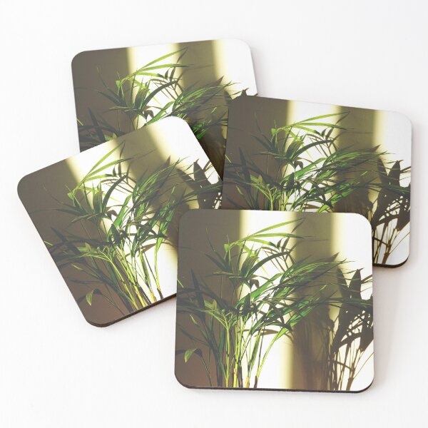Item preview, Natural Light Bathing Indoor Houseplant Areca Palm designed and sold by CarolinaReina.