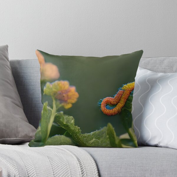 Item preview, Inchworm…Inchworm designed and sold by WinnieWonka13.