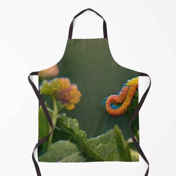 Item preview, Inchworm…Inchworm designed and sold by WinnieWonka13.