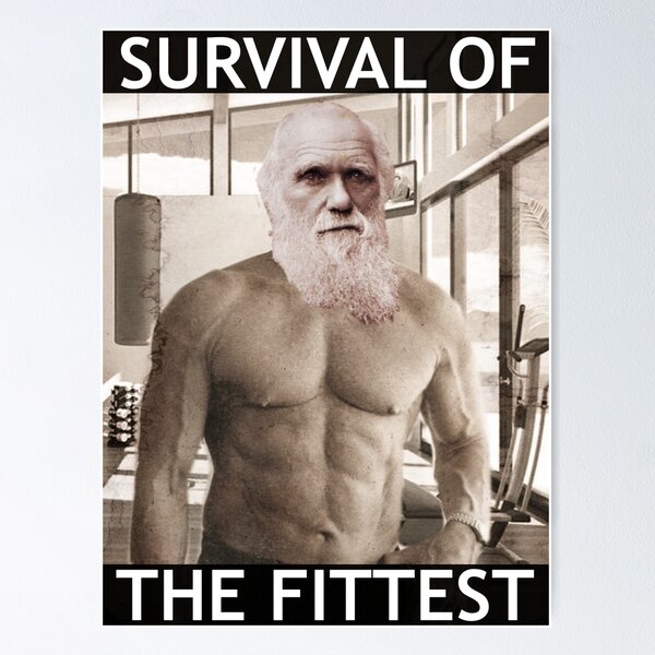 Item preview, Darwin - Survival of the Fittest designed and sold by eightkingdoms.