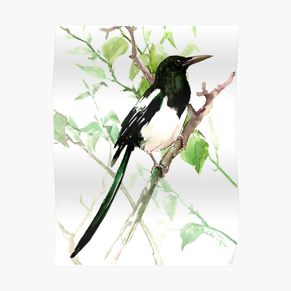 MAGPIE Poster