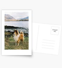 Dog Who Shared My Lunch II Postcards