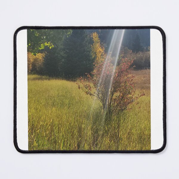 Item preview, Ray of Light designed and sold by JDenCreations.